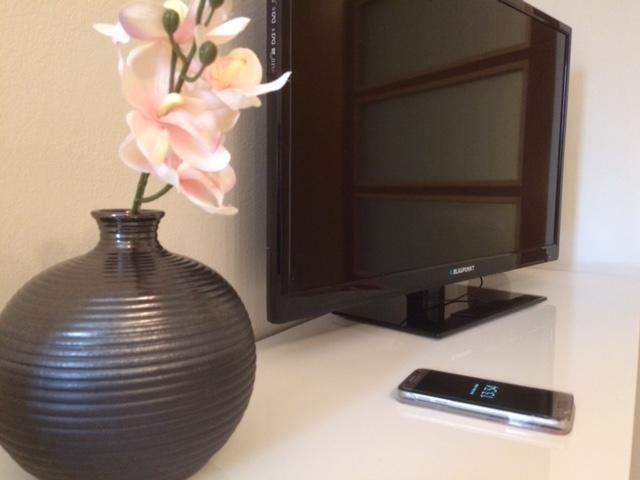 Studio Apartament Viena